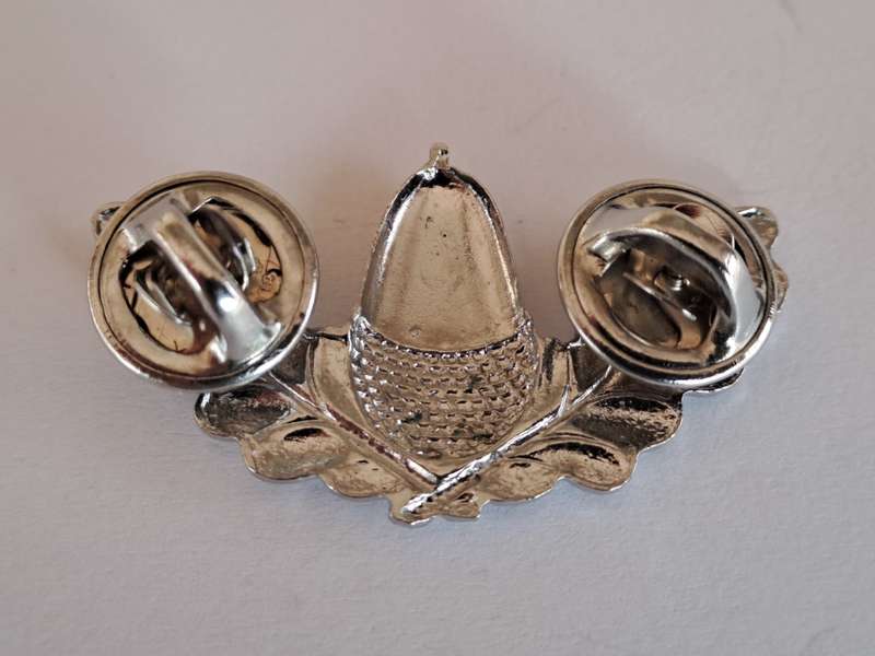 Stellenbosch University Regiment collar badge