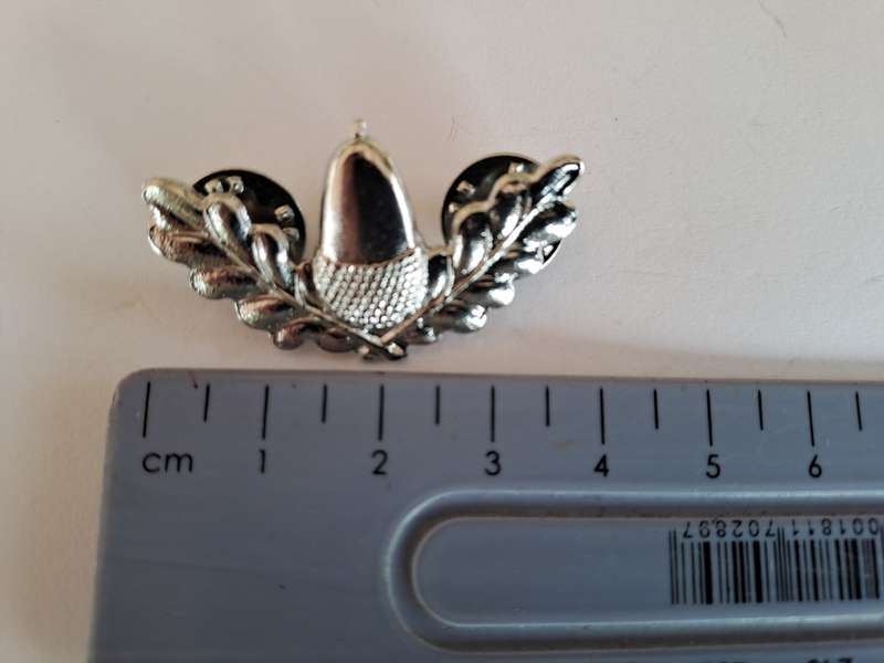 Stellenbosch University Regiment collar badge