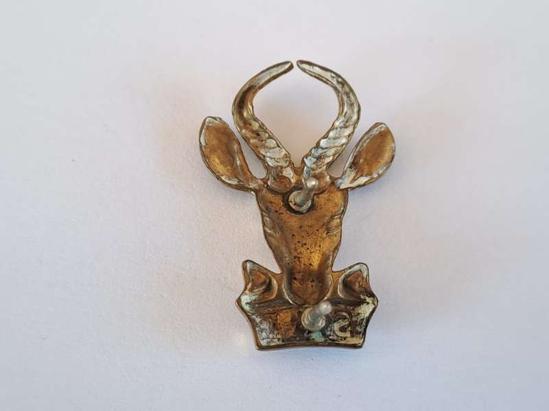 South African Army SA Infantry (SAI) Brass Collar Badge