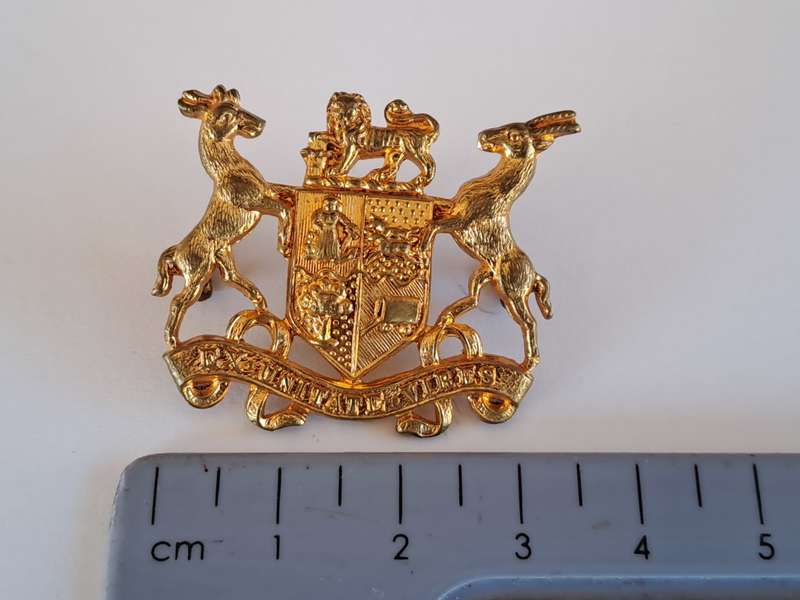 South African Defence Force SADF Warrant Officer Class 2 Gilt Rank Badge