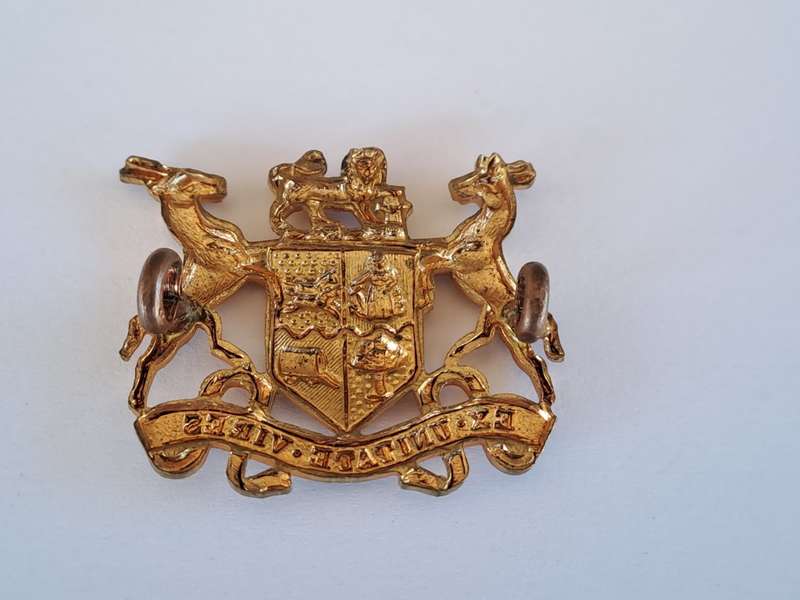South African Defence Force SADF Warrant Officer Class 2 Gilt Rank Badge