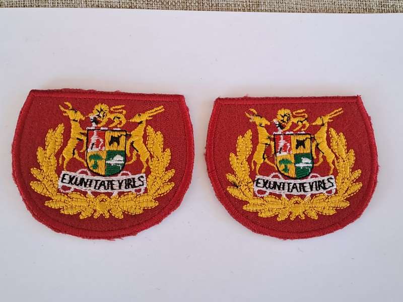 South African Defence Force SADF Regimental Seargent Major Rank Badges - Pair