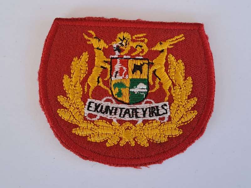 South African Defence Force SADF Regimental Seargent Major Rank Badges - Pair