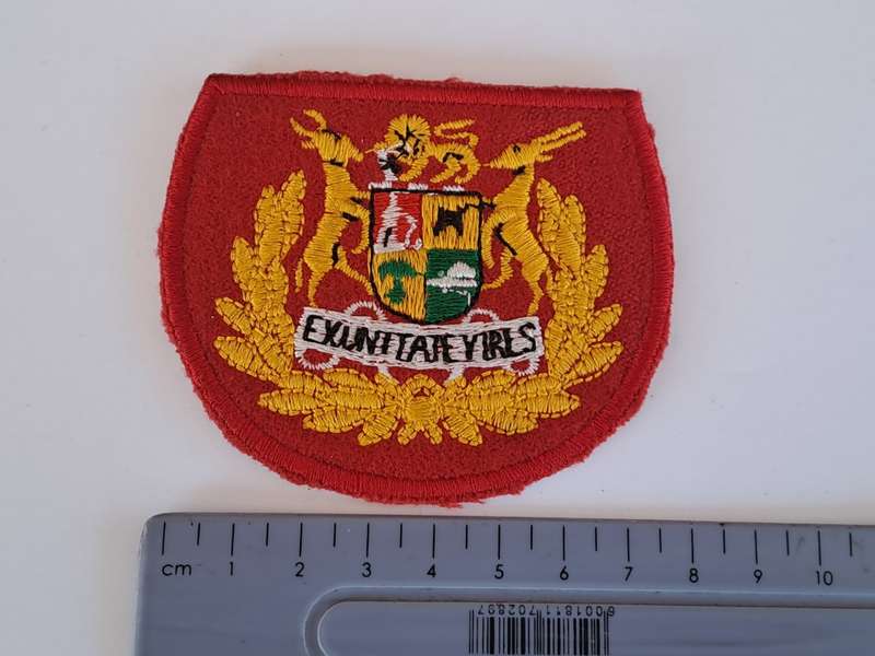 South African Defence Force SADF Regimental Seargent Major Rank Badges - Pair