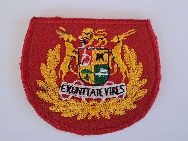 South African Defence Force SADF Regimental Seargent Major Rank Badges - Pair