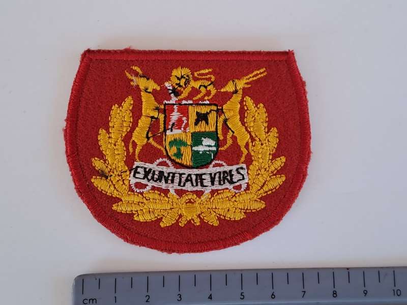 South African Defence Force SADF Regimental Seargent Major Rank Badges - Pair