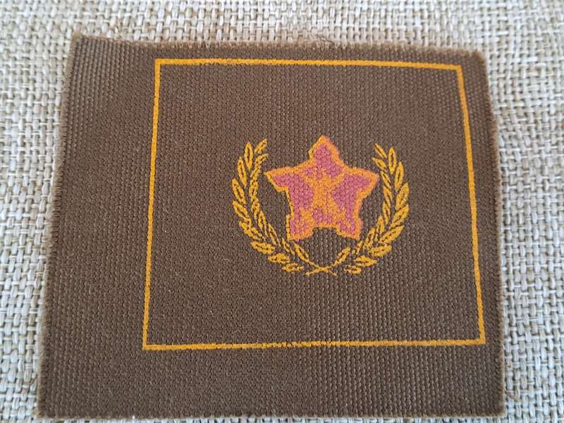 SADF Citizen Force Badges  (x2)
