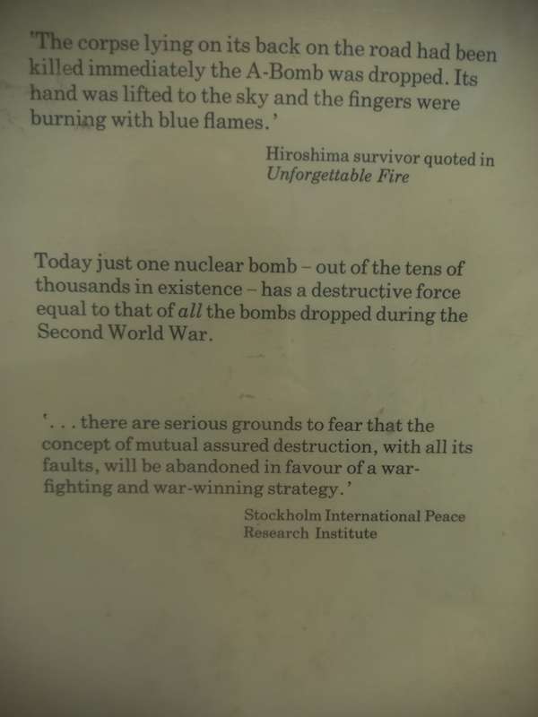 Nuclear War, the Facts on Our Survival - Peter Goodwin