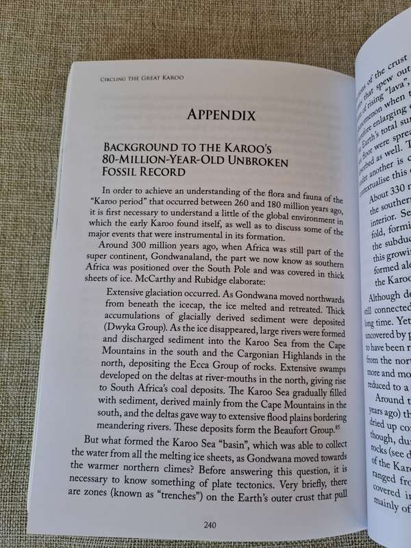 Circling The Great Karoo - Nicholas Yell