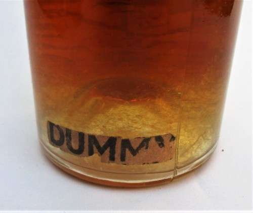VINTAGE VOC VAN RIEBEECK BRANDY DUMMY BOTTLE