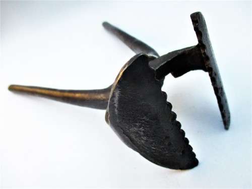 TONGS WITH TEETH