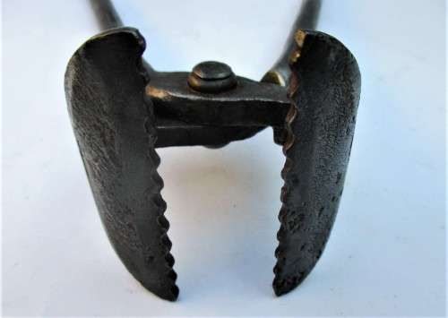 TONGS WITH TEETH