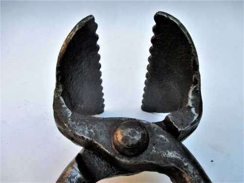 TONGS WITH TEETH