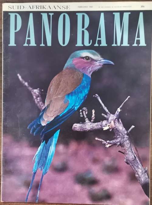 VINTAGE Suid-Afrikaanse Panorama Magazine February 1965