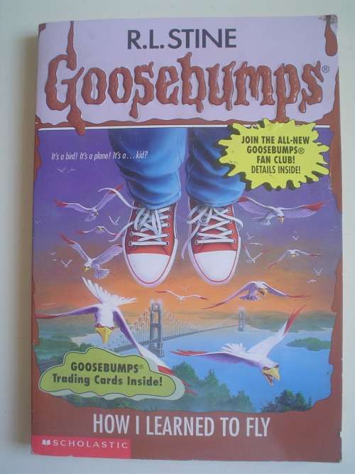 Goosebumps - Stine -  How I learned to fly