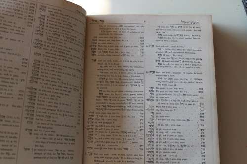 The Analytical Hebrew and Chaldee Lexicon - Davidson