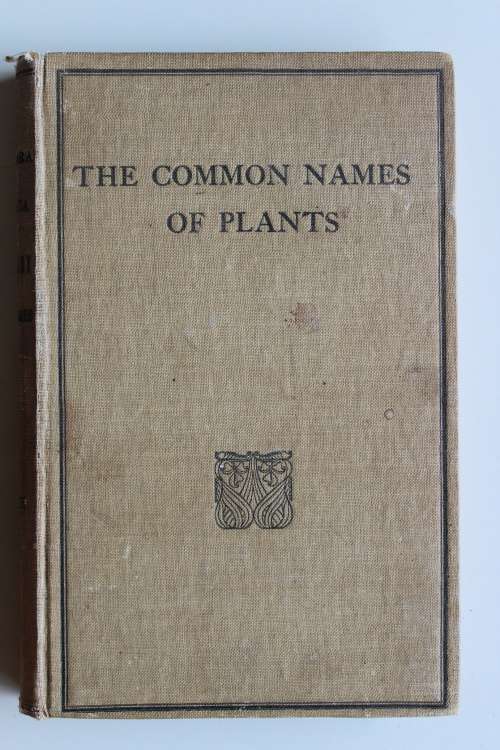 South African Dictionary of the Common Names of Plants - Marloth