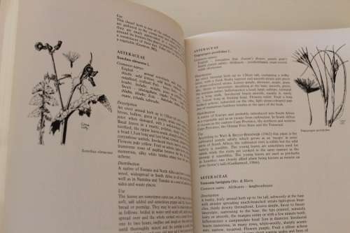 FOOD FROM THE VELD: Edible wild plants of Southern Africa - Fox &  Norwood Young