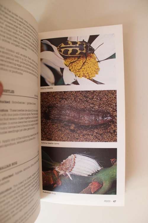 Garden Pests and Diseases -- de Villiers and Schoeman