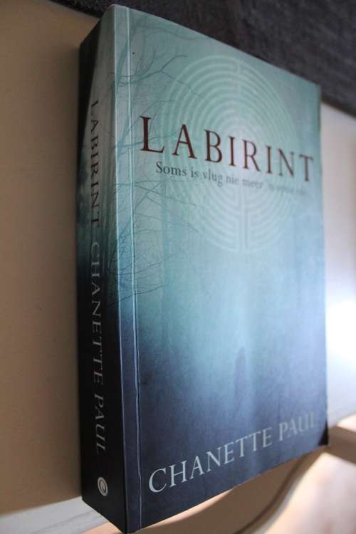 Labirint - Chanette paul