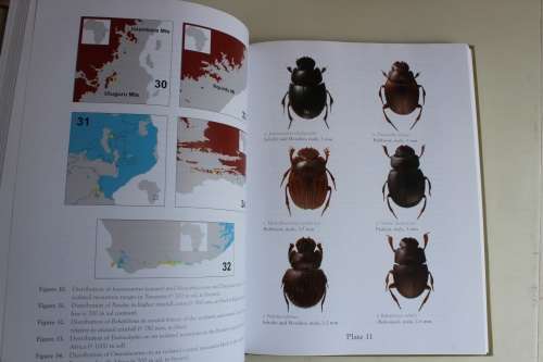 The African Dung Beetle Genera - Davis & Frolov & Scholtz