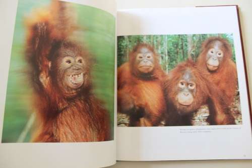 In Praise of Primates - Steve Bloom