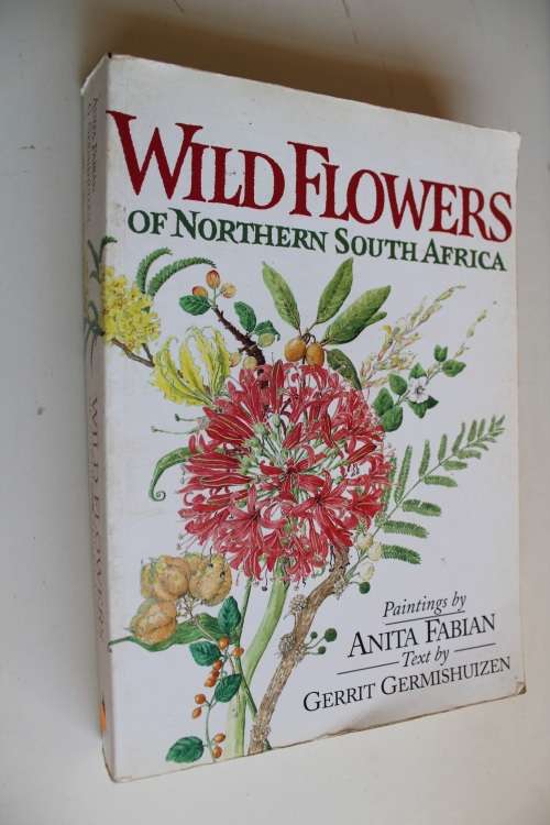 Wild Flowers of Northern South Africa -  Germishuizen (Author), Anita Fabian (Illustrator)