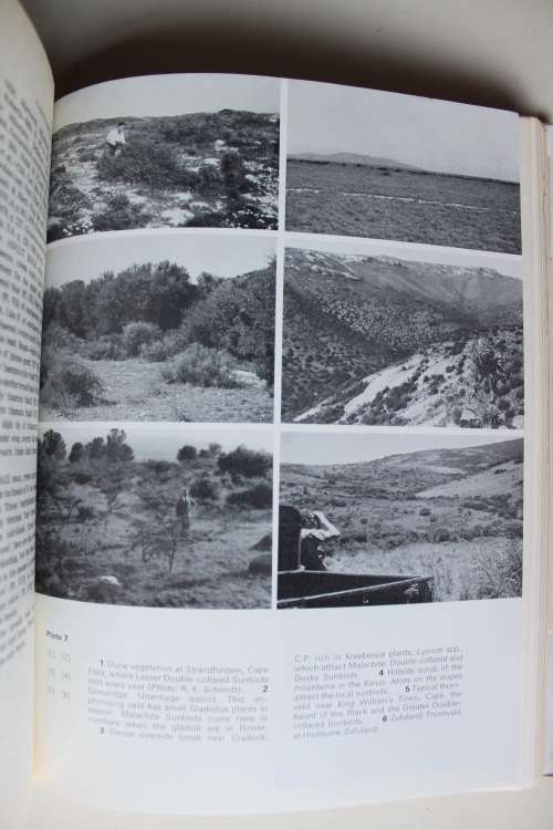 Sunbirds of Southern Africa,also Sugarbirds,White-eyes and the Spotted Creeper by C J Skead