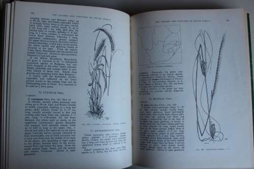 The Grasses and Pastures of South Africa - Meredith & Chippindall