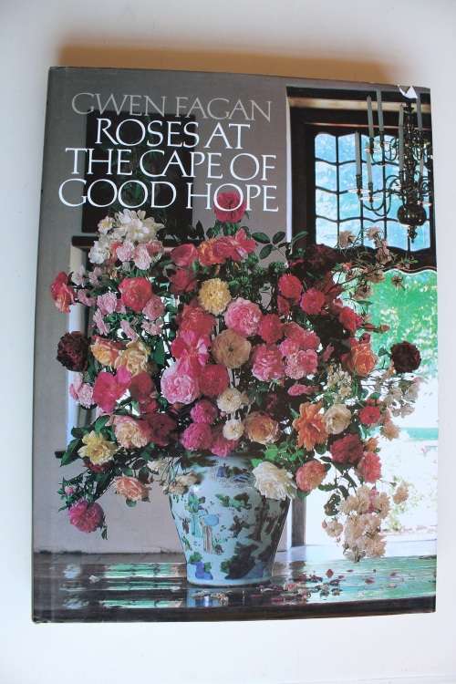 Roses at the Cape of Good Hope - Fagan
