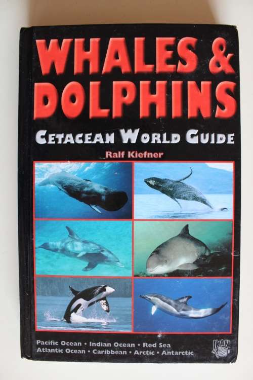 Whales and Dolphins Cetacean world guide - Kiefner