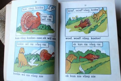 Sus en Daan boekies