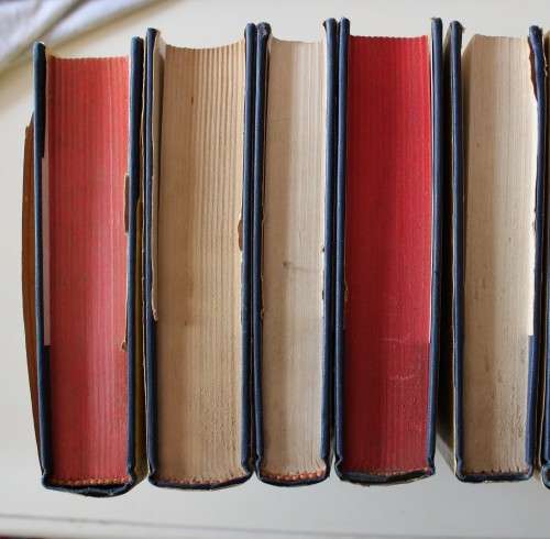 5 volumes Bible Commentaries hardcovers with dust jackets