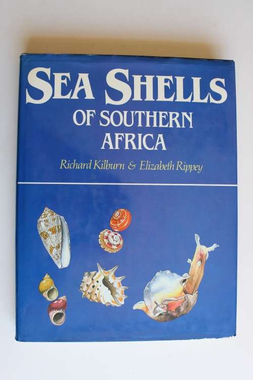 Kilburn, Richard + Rippy, Elizabeth -  Sea Shells of Southern Africa