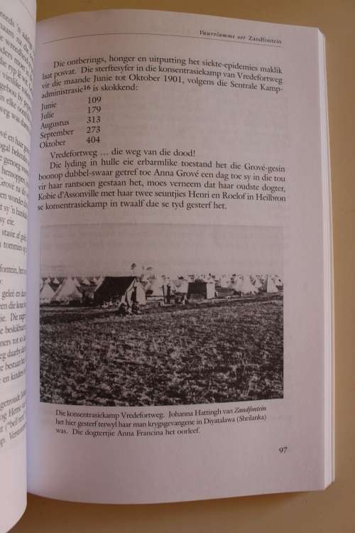 Op die bodem van die Vaaldam : Geskiedenis v/d plaas Zandfontein en die RAU-eiland (1850-1936)