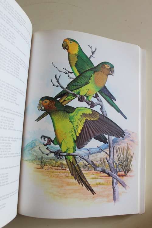 Parrots of the World - Forshaw