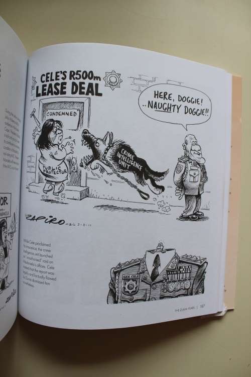 DemoCRAZY - SA's 20 Year Trip - Zapiro & Wills
