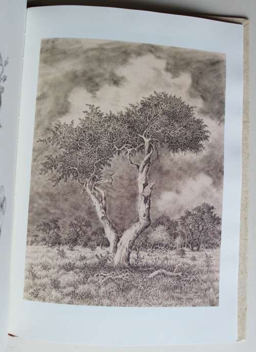 Lass Bäume sprechen -  Eberhard von Koenen - Art Book
