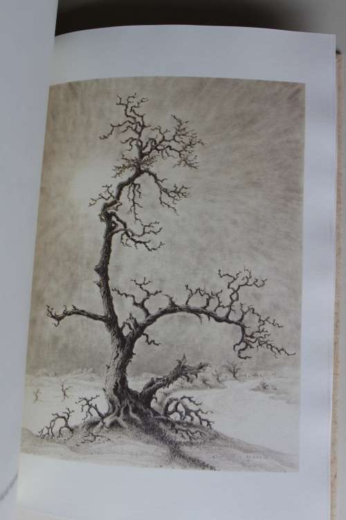 Lass Bäume sprechen -  Eberhard von Koenen - Art Book