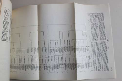 Ntshabeleng Social Structure - Study of a Northern Transvaal Sotho Tribe - Bothma
