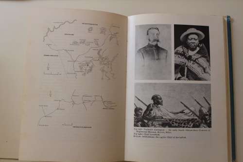 Colenso Letters from Natal -  Wyn Rees