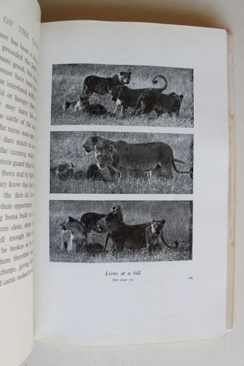 In the Land of the Lion - Cherry Kearton
