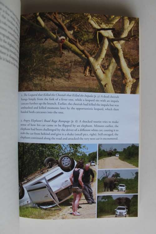 101 Kruger Tales - Jeff Gordon