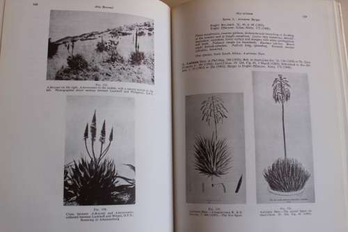The Aloes of South Africa - G.W. Reynolds