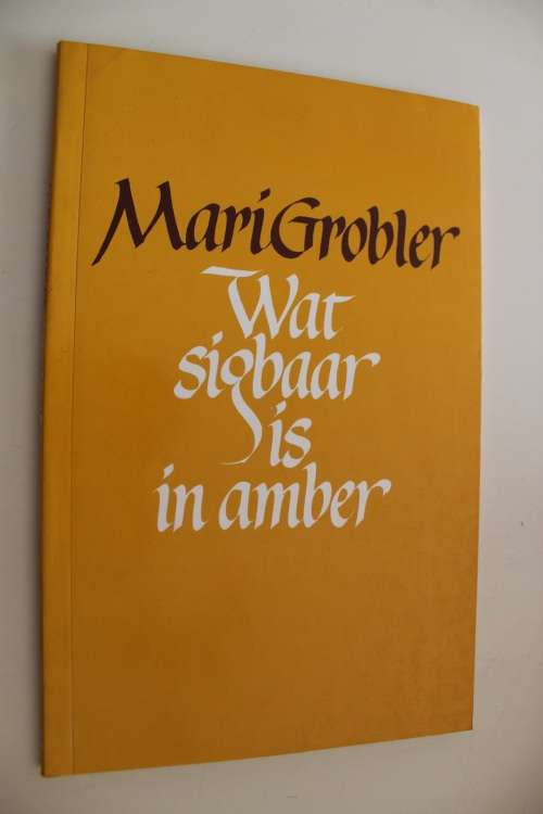 Wat sigbaar is in amber - Mari Grobler