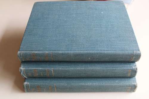 The Stapelieae (3 volume set) - White & Sloane