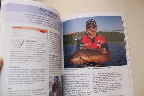 TOP ANGLING FISHES OF SOUTHERN AFRICA - HENNIE CROUS
