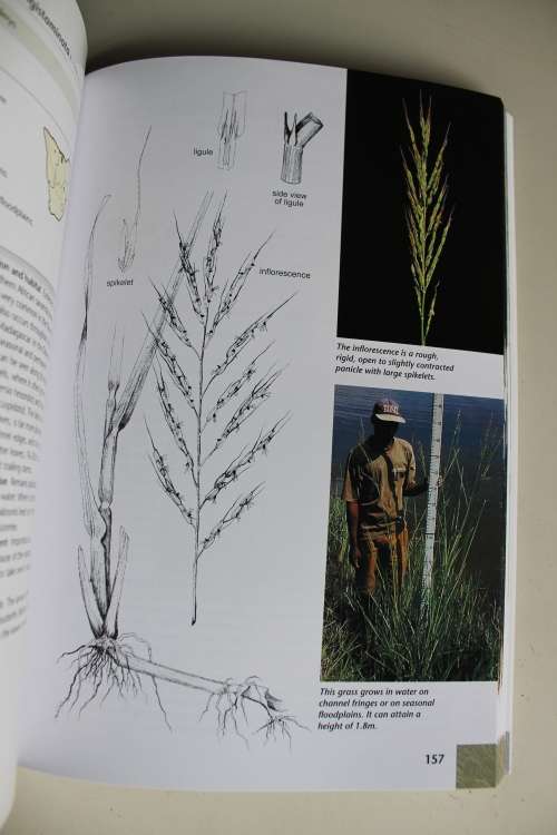 Grasses & Grazers of Botswana - Veronica Roodt