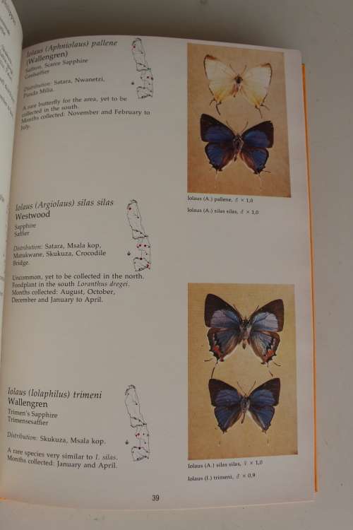 Butterflies of the Kruger National Park -  Van Son & Kloppers