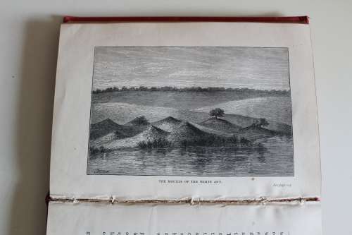Tropical Africa - Henry Drummond